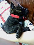 20060506160629.jpg