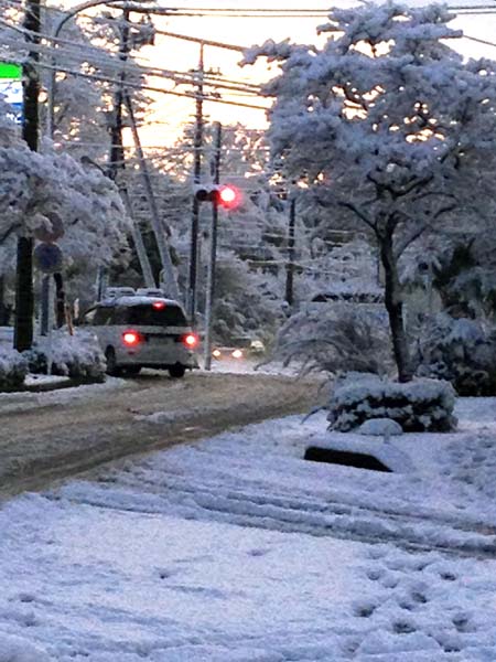 雪の朝